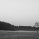 Nebbia (Monastero di Bose)