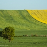 Valle (Castelfiorentino)