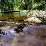 Gole dell'Alento