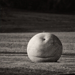 Scultura (Bose)