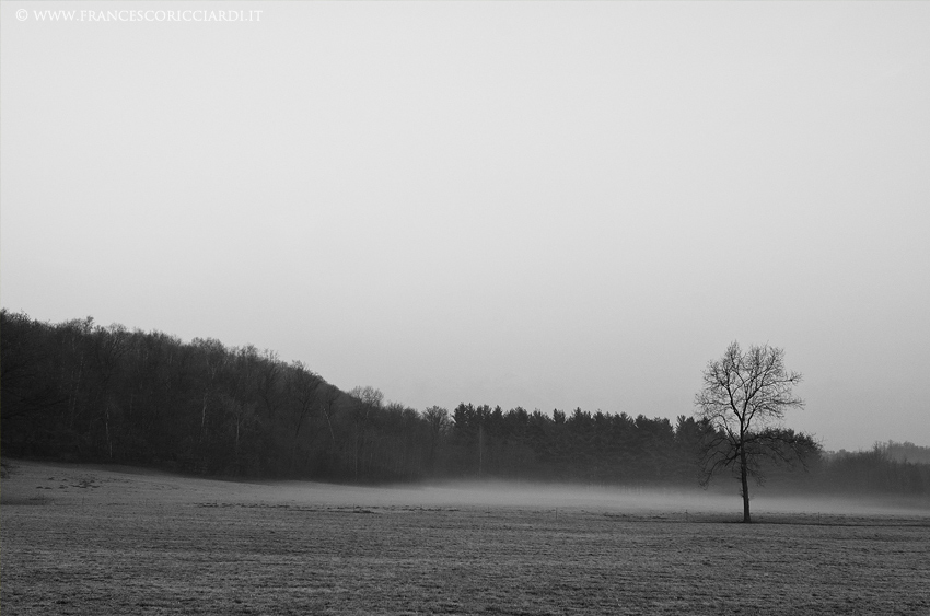 Nebbia (Monastero di Bose)